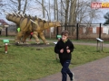 138 parkrun 033