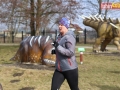 145 parkrun 033