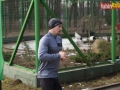 145 parkrun 046