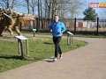 147 parkrun 031