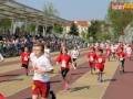 V bieg papieski dzieci 231