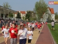 V bieg papieski dzieci 249