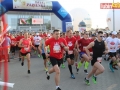 V bieg papieski start 028