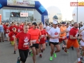 V bieg papieski start 030