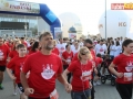 V bieg papieski start 076