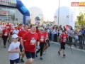 V bieg papieski start 148