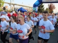 V Bieg Papieski (5)