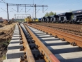 pkp1