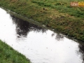 uulewa pod galeria 045