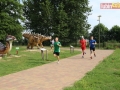 157 parkrun 021