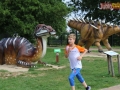 157 parkrun 029