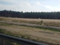 S3 Lubin - Polkowice- Kaźmierzów (1)