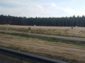 S3 Lubin - Polkowice- Kaźmierzów (11)
