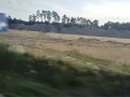 S3 Lubin - Polkowice- Kaźmierzów (14)