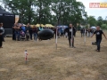 zlot rudna 087