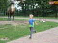 159 parkrun 035