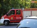 kolizja parking leśny 008