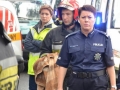 wypadek_ksieginicer_011