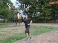 170 parkrun 015