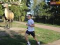173 parkrun 021