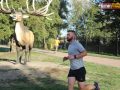 173 parkrun 025
