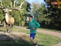 173 parkrun 029