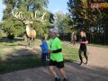 173 parkrun 031