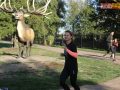 173 parkrun 032