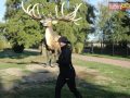 173 parkrun 036