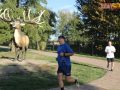 173 parkrun 038
