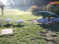 174 parkrun 019