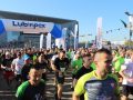 Bieg Barbórkowy 2018 (40)