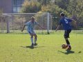 górnik Lubin - sobin (27)