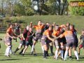 rugby miedziowi alfa 018