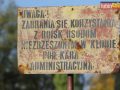 rugby miedziowi alfa 026