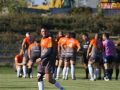 rugby miedziowi alfa 031