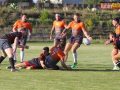 rugby miedziowi alfa 095