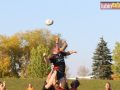 rugby miedziowi alfa 115