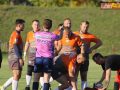 rugby miedziowi alfa 118
