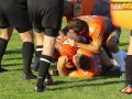 rugby miedziowi alfa 121