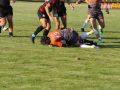 rugby miedziowi alfa 129