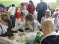 słodka julka ścinawa (7)