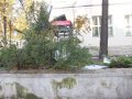 bankomat Chojnów (12)