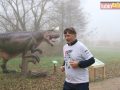 178 parkrun 035