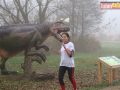 178 parkrun 038