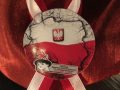ZSiPO Dzień osób niepełnosprawnych (11)