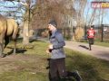 192 parkrun 17