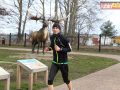 196 parkrun 019