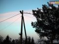 raszowka-drzewo-002