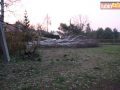 raszowka-drzewo-007